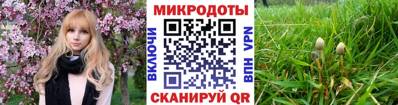 Псилоцибиновые грибы ЛСД купить закладку Багратионовск